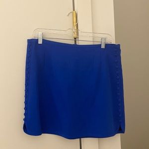 Zara blue skirt never worn